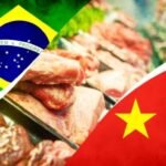 China impõe tarifa de 55% e agrava pressão sobre carne brasileira já barrada na Europa