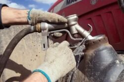 Diesel entra em outubro com subsídio de R$ 2,12, mas estoques duram 15 dias