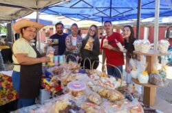 Feira da Família reúne produtos da agricultura familiar e opções de almoço nesta quinta-feira (01) em VG