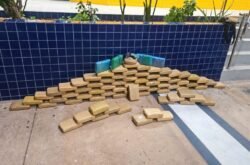 Motorista com CNH falsa é preso pela PRF com cerca de 80 kg de drogas em Santo Antônio de Leverger