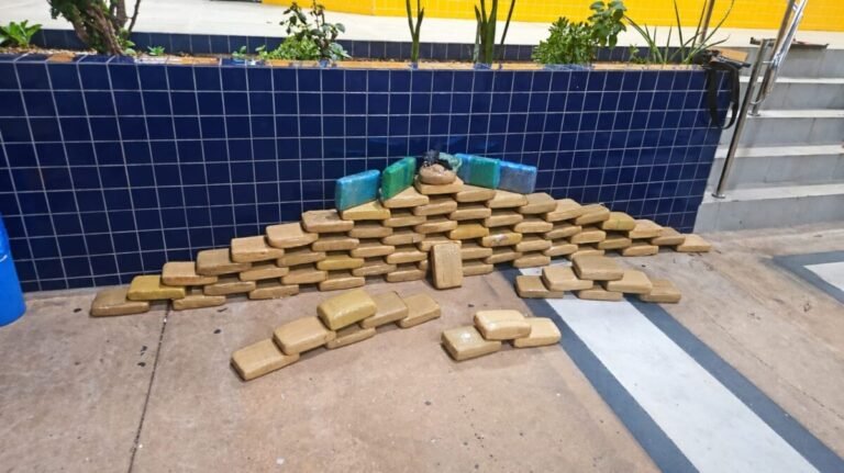 Motorista com CNH falsa é preso pela PRF com cerca de 80 kg de drogas em Santo Antônio de Leverger